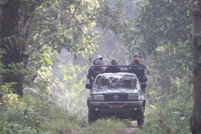 Jungle Towernight Stay: 4-Day Tour in Chitwan National Park - Day 4: returning to Kathmandu
