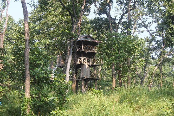 Jungle Towernight Stay In Chitwan National Park ,nepal-2 Nights 3 Days Package - Five things to know before booking