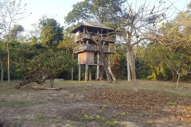 Jungle Towernight Stay In Chitwan National Park ,nepal-2 Nights 3 Days Package - Why sleeping in Chitwan changes the experience