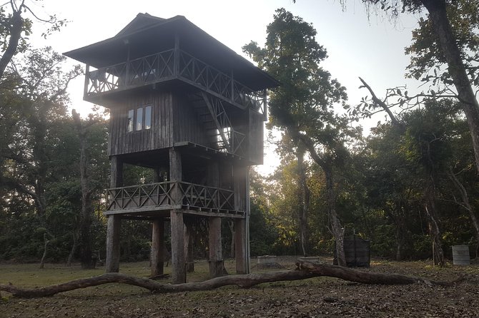 Jungle Towernight Stay In Chitwan National Park ,nepal-2 Nights 3 Days Package - Canoe ride and crocodiles along the river