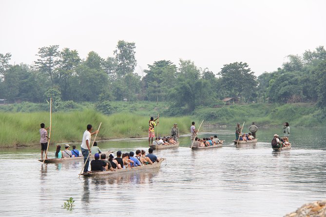 Jungle Towernight Stay In Chitwan National Park ,nepal-2 Nights 3 Days Package - Jungle walking and bird watching