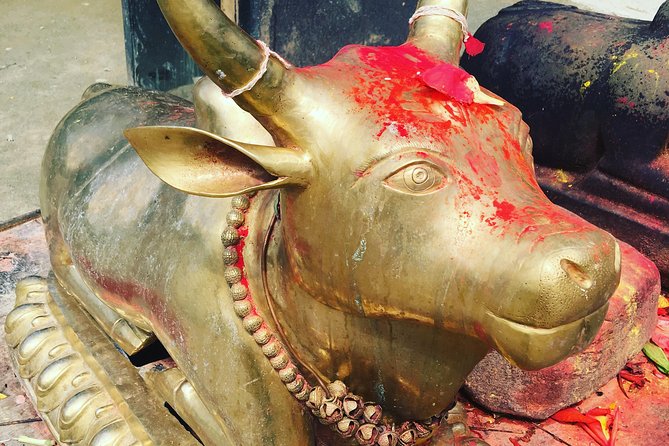 Kailashnath Doleshwor Mahadev Tour In Kathmandu - Doleshwor Mahadev and the Head of Kedarnath