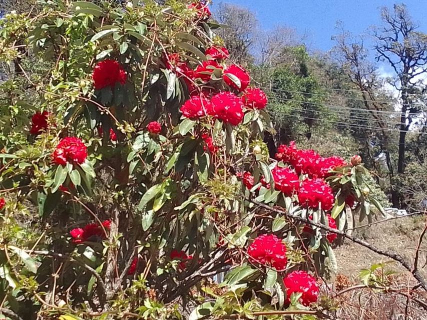 Kathmandu: 10-Day Adventurous Annapurna Circuit Trek - Upper Pisang and Manang: the scenery gets bigger