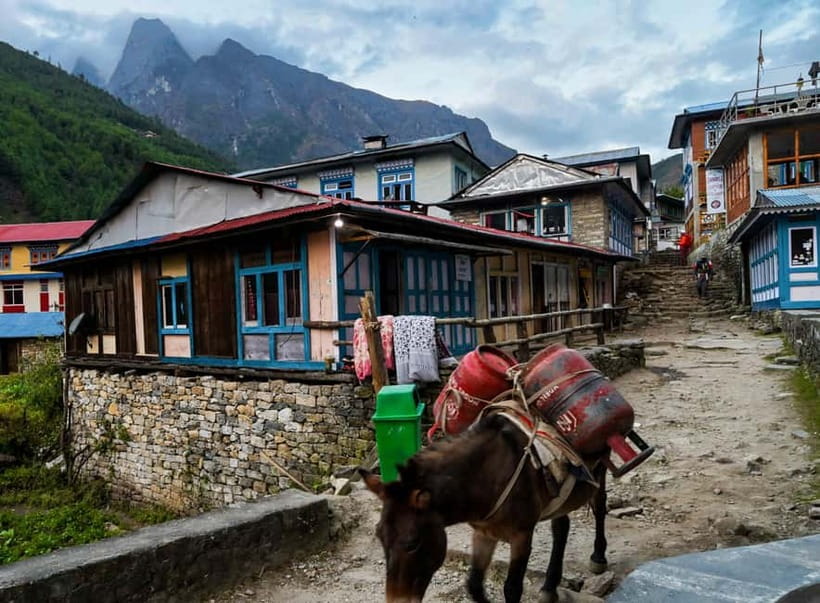 Kathmandu: 15-Day Everest Base Camp Trek with Guide - Key points to know before you book