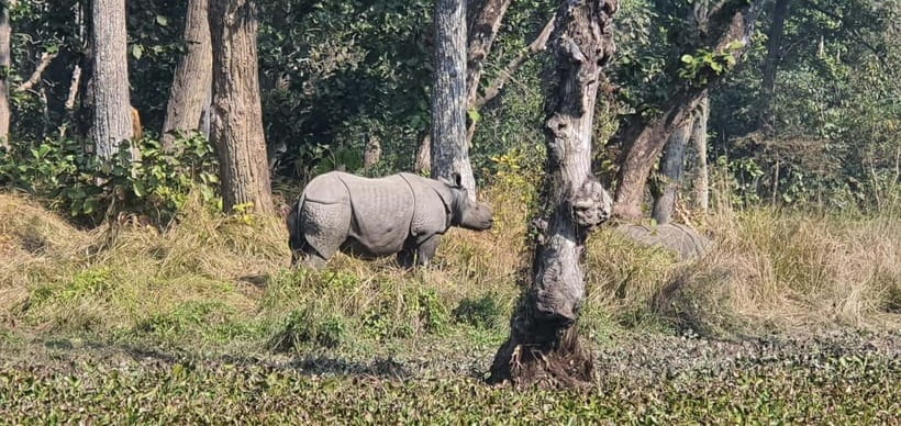 Kathmandu: 3-Day Chitwan Safari Tour with Hotel Transfers - Why Chitwan makes a good break from Kathmandu