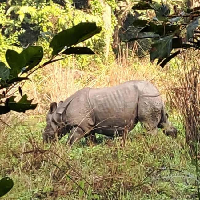 Kathmandu: 3-Day Chitwan Safari Tour with Hotel Transfers - Safari Adventure Lodge and Hotel Park Land
