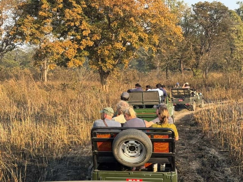 Kathmandu: 3-Day Chitwan Safari Tour with Hotel Transfers - How much wildlife can you expect?