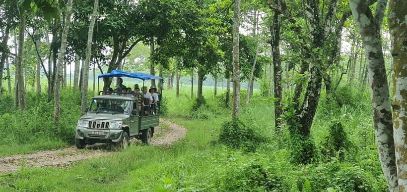 Kathmandu: 3-Day Chitwan Safari Tour with Hotel Transfers - Is $151 good value?