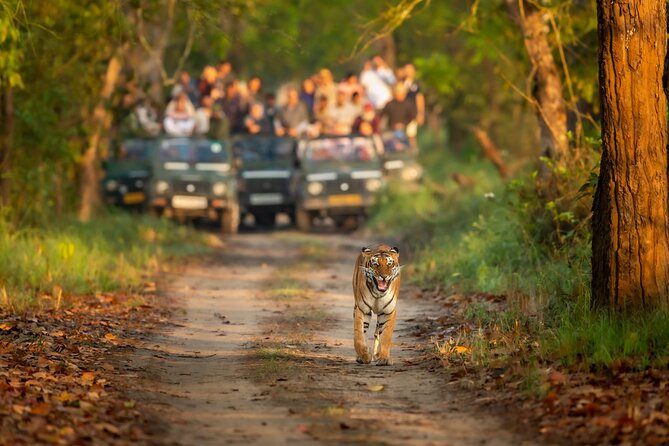 Kathmandu: 3 Days Chitwan Jungle Safari Private Tour - Key points at a glance