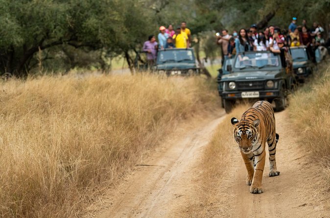 Kathmandu: 3 Days Chitwan Jungle Safari Private Tour - Day 3: A short finish with an optional birding angle