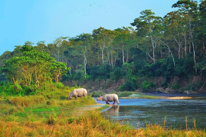 Kathmandu: 3 Days Chitwan Jungle Safari Private Tour - Day 1: From hotel check-in to Tharu village life