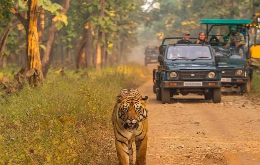 Kathmandu: 4-Day Private Chitwan National Park Safari Tour - Day 2: Jeep Safari, Rapti River, and Elephants