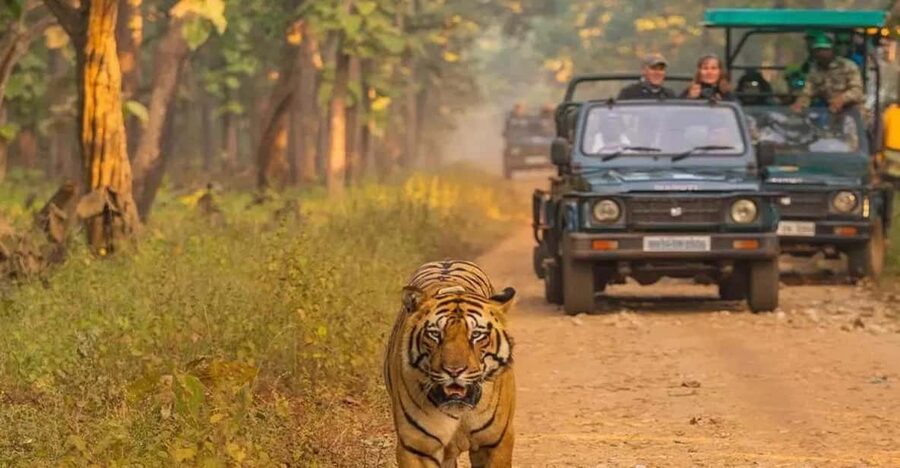 Kathmandu: 4-Day Private Chitwan National Park Safari Tour - Day 1: Tourist Bus From Kathmandu to Chitwan