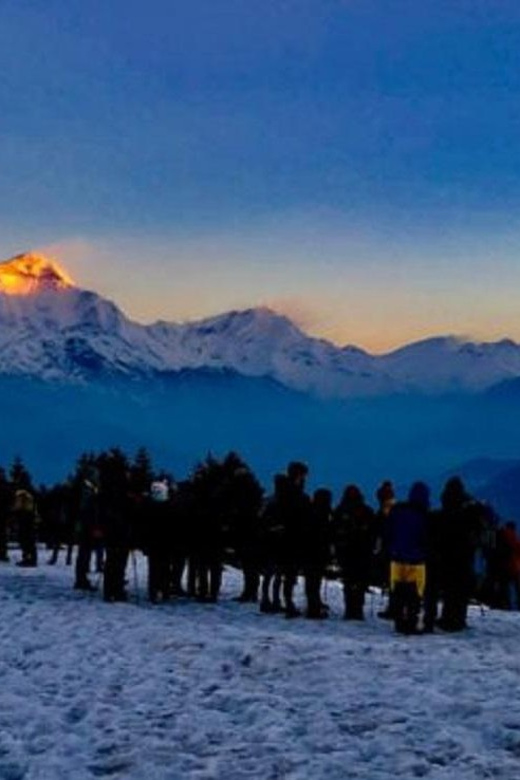 Kathmandu: 6-Day Ghorepani, Poonhill, & Ghandruk Trek - Day 5: Descending to Nayapool and returning to Pokhara