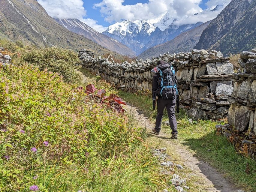 Kathmandu: 6-Day Limitless Langtang Trek - Key points to know before booking