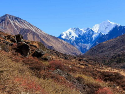 6 Days Langtang Valley Trek with Kyanjin Ri