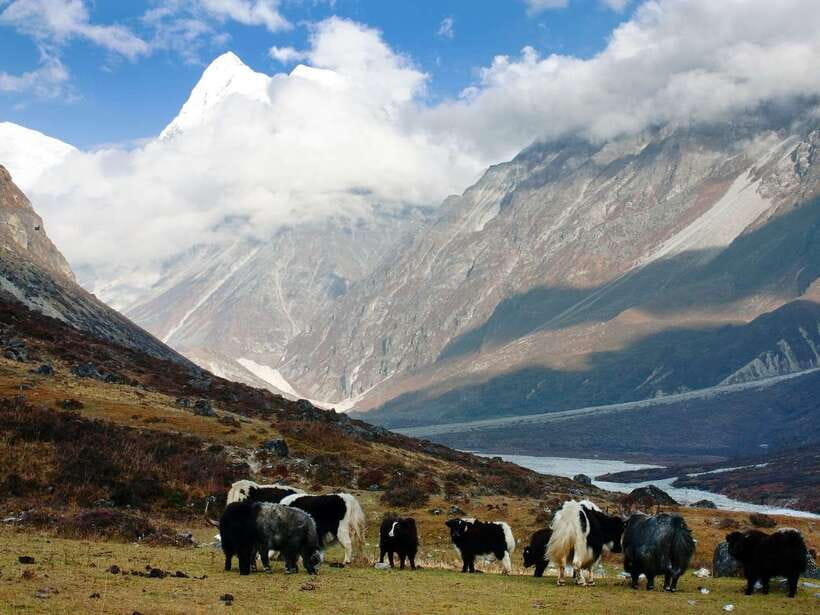 Kathmandu: 6 Days Langtang Valley Trek with Kyanjin Ri - What the $179 price really includes