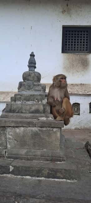 Kathmandu: Chandragiri cable car & Swayambhunath Tour - Is $115 per person fair?