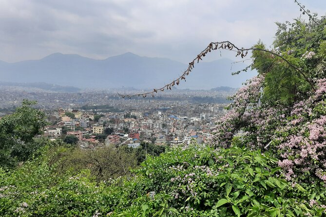 Kathmandu Chandrigiri Hill Cable Car & Monkey Temple UNESCO Tour - The guide and private transport