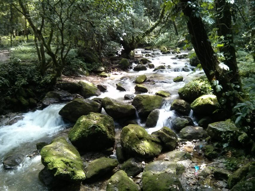 Kathmandu: Chisapani Nagarkot 3-Days 2-Nights Trek - Key points at a glance
