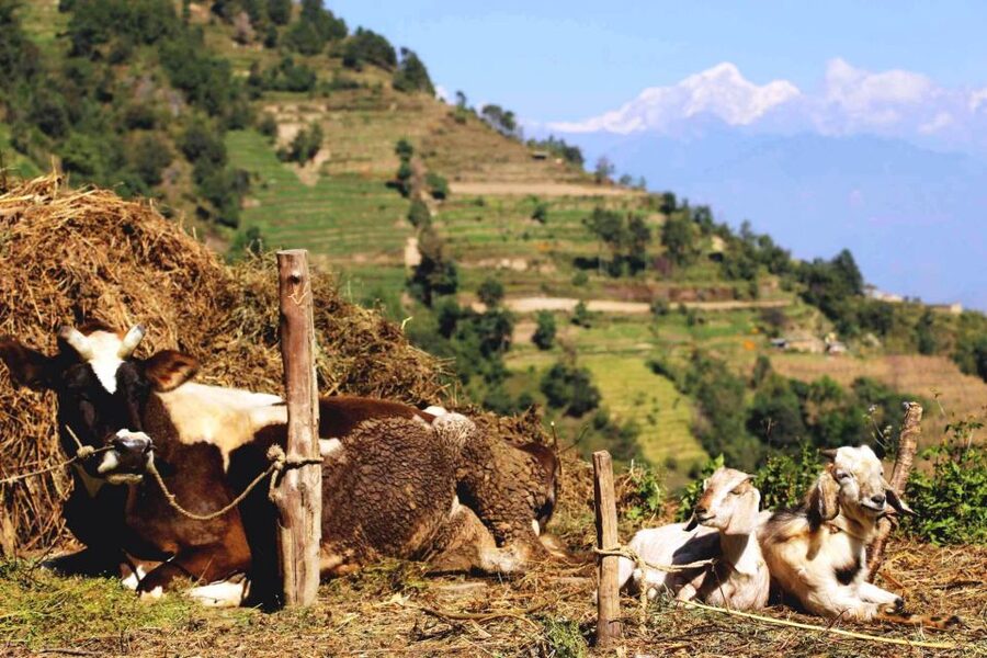 Kathmandu: Chisapani Nagarkot 3-Days 2-Nights Trek - Weather, seasons, and the mountain-view gamble