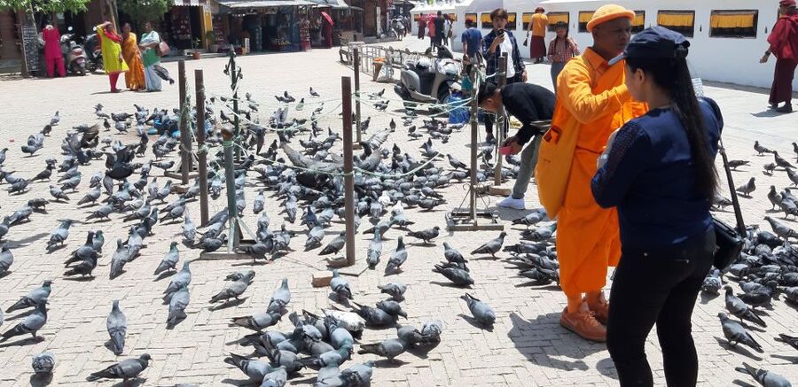 Kathmandu: Guided -Day Tour of World Heritage Sites - Final verdict: a strong first-day introduction
