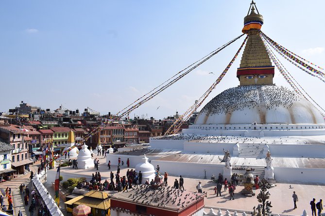 Kathmandu Half-Day Tour (Pashupatinath Temple and Boudhanath Stupa) - A short stop at Mrigasthali Deer Park