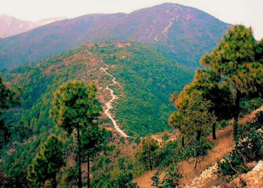 Kathmandu: Hike, Heritage & Holiness | Champadevi day Hiking - Why this day works so well from Kathmandu