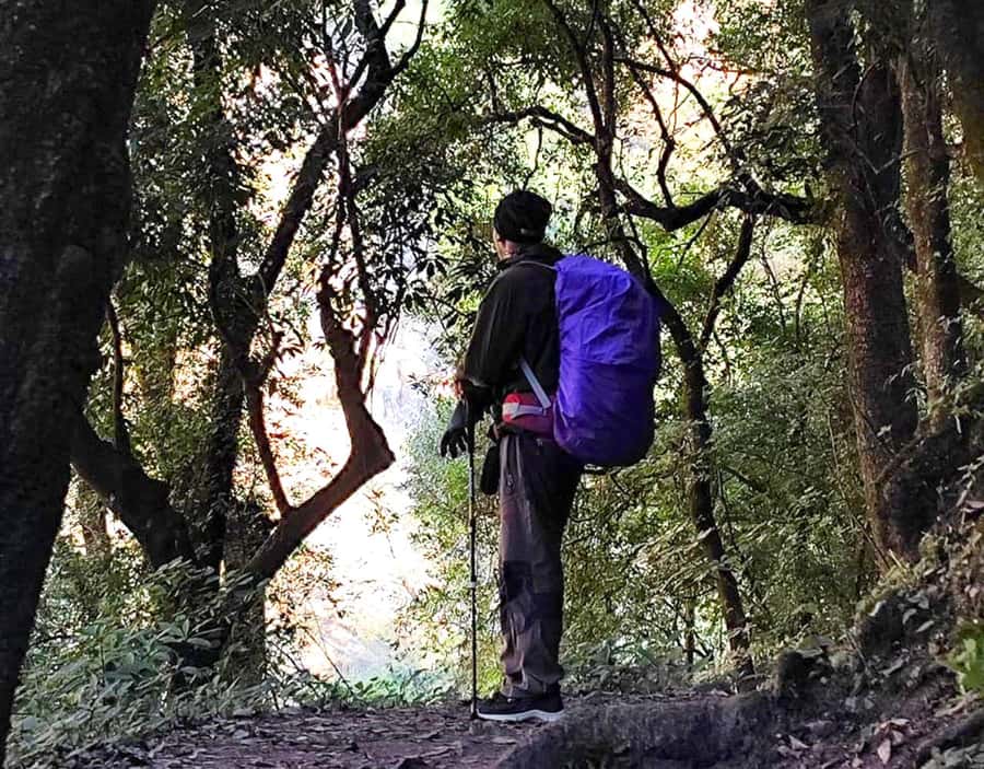 Kathmandu: Hike JamaChwok & Tree Planting for carbon neutral - The six-hour visit to Shivapuri National Park