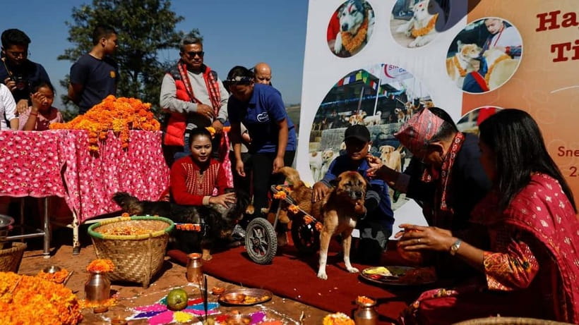 Kathmandu: Kukur Tihar Festival Tour with Local Family - Choosing garlands and treats in the local market