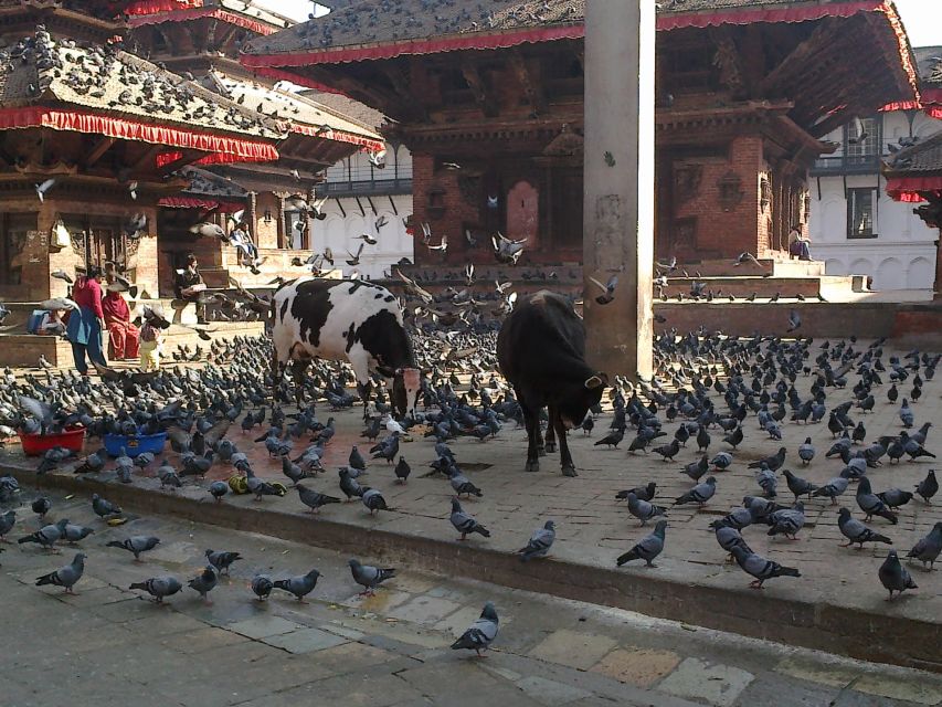 Kathmandu: Monkey Temple and Chandragiri Cable Car Ride Tour - Is $47 a fair price?