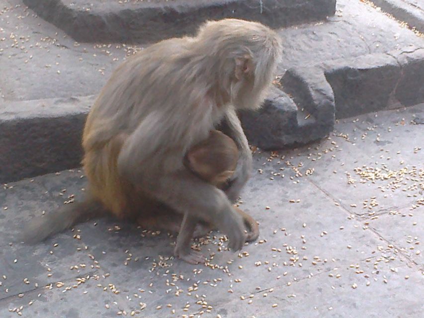 Kathmandu: Monkey Temple and Chandragiri Cable Car Ride Tour - Timing, clothing, and what to bring