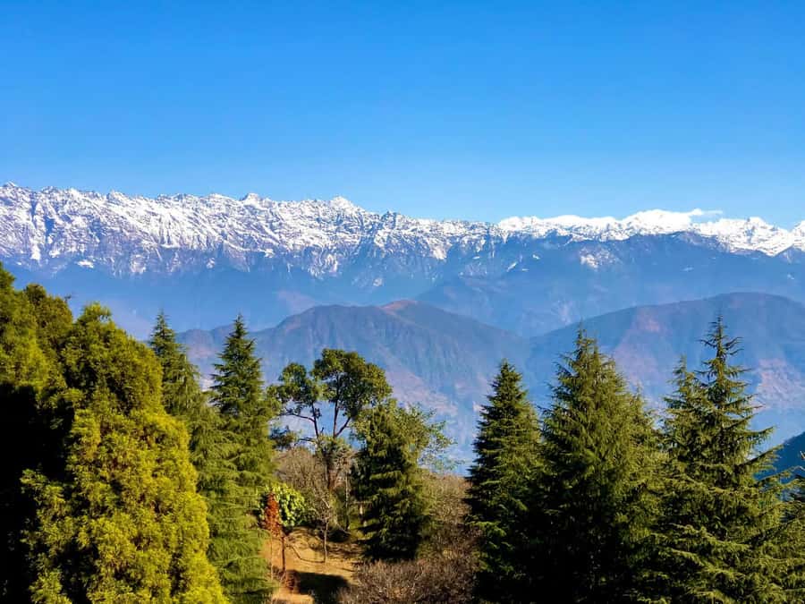 Kathmandu: Nagarjun Jamacho Hiking 2130m with Pickup & Drop - Key points to know before booking