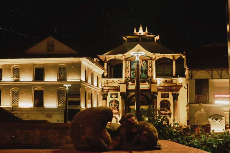 Kathmandu: Pashupatinath Aarati & Cremation Evening Tour - Who will appreciate this evening most
