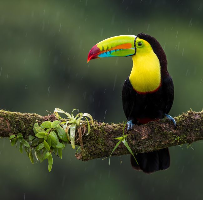 Kathmandu/Pokhara: 2-Day Chitwan Safari Private Tour By Car - The return drive and total value