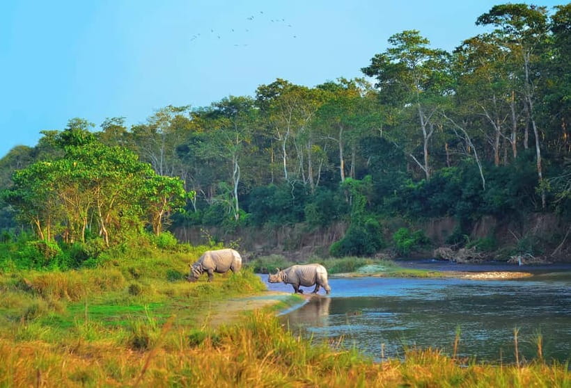 Kathmandu/Pokhara: 3 Day Chitwan Jungle Safari Tour - Why Chitwan Makes a Good Break From Kathmandu or Pokhara
