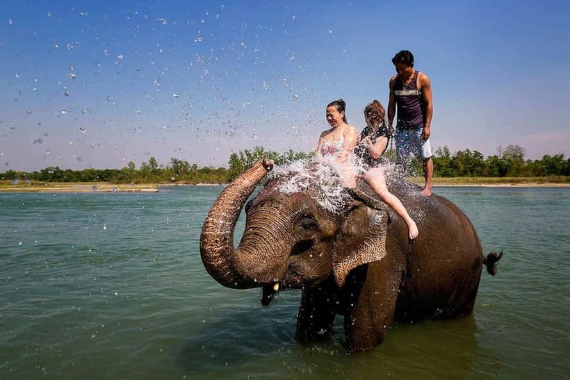 Kathmandu/Pokhara: 3 Day Chitwan Jungle Safari Tour - Day Two: Canoeing, Birds, and the Jungle Walk