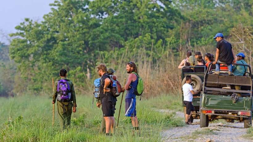 Kathmandu/Pokhara: 3 Day Chitwan Jungle Safari Tour - The Jeep Safari: Your Best Chance at Big Animals