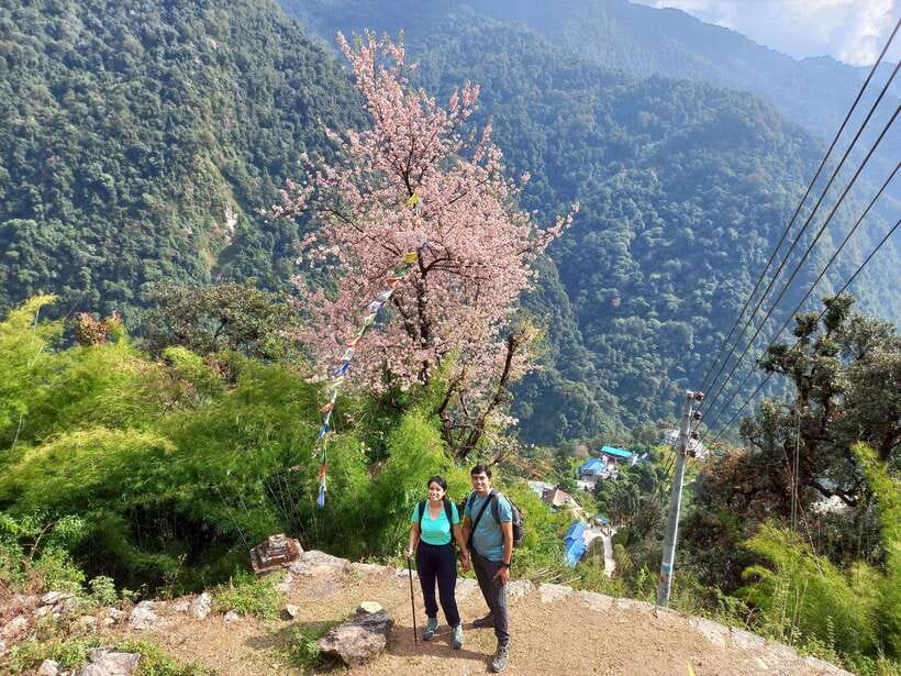 Kathmandu/Pokhara: 5-Day Annapurna Base Camp (ABC) Trek - Day 3: Machhapuchhre Base Camp to Annapurna Base Camp