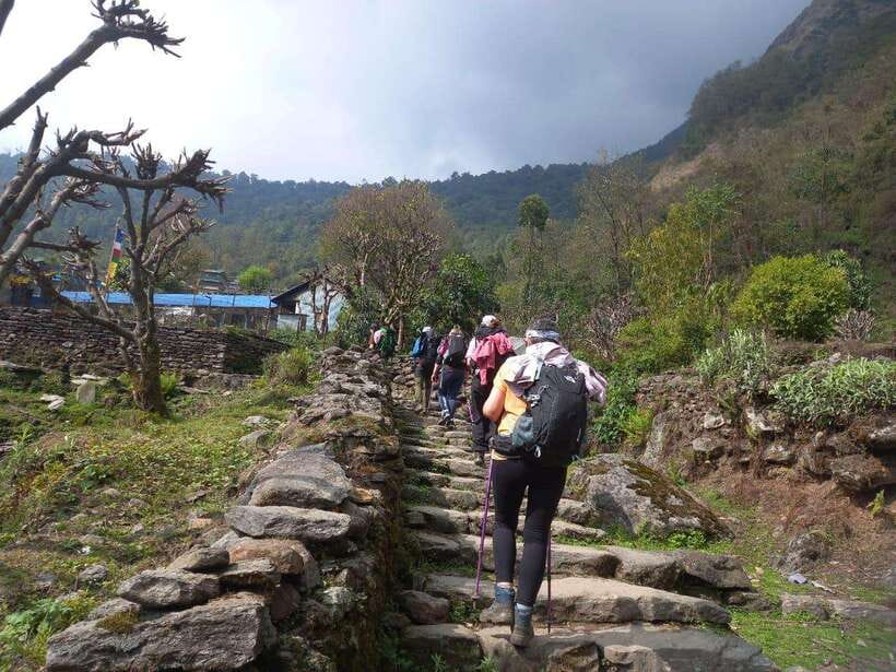 Kathmandu/Pokhara: 5-Day Annapurna Base Camp (ABC) Trek - Day 4: Sunrise at ABC and the long return to Bamboo or Sinuwa