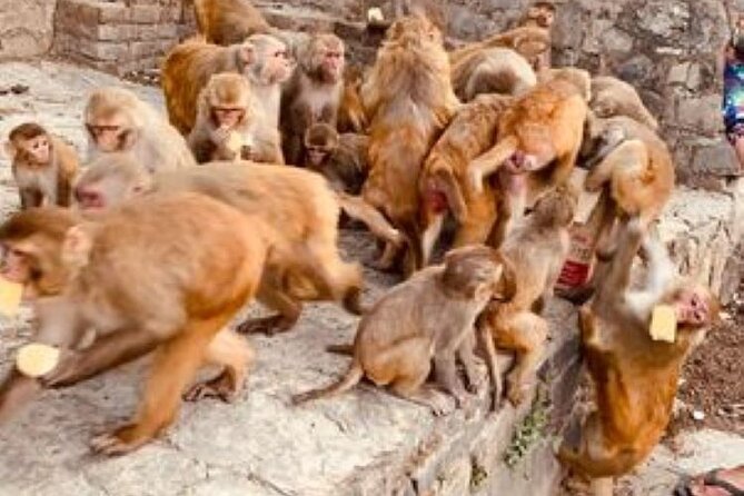 Kathmandu Private Sightseeing Tour | UNESCO World Heritage Sites - Bhaktapur Durbar Square and the slower side of the valley
