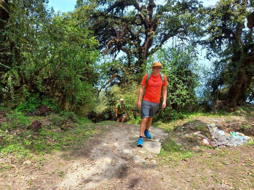 Kathmandu: Shivapuri Day Hike with Lunch - Key points at a glance