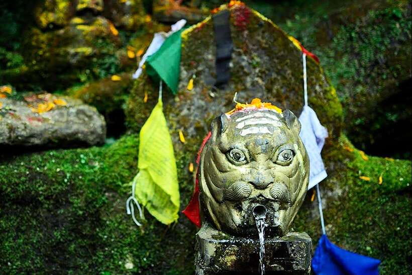 Kathmandu: Shivapuri Day Hike with Lunch - A green escape above Kathmandu