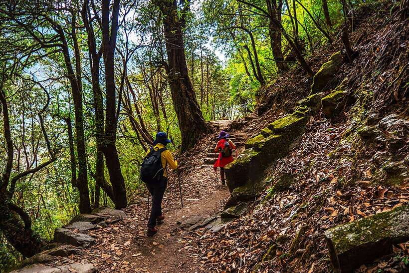 Kathmandu: Shivapuri Day Hike with Lunch - Forest wildlife is part of the reward