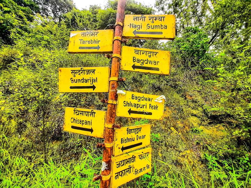 Kathmandu: Shivapuri Hill Day Hike with Lunch box - The best parts of the Shivapuri Hill hike