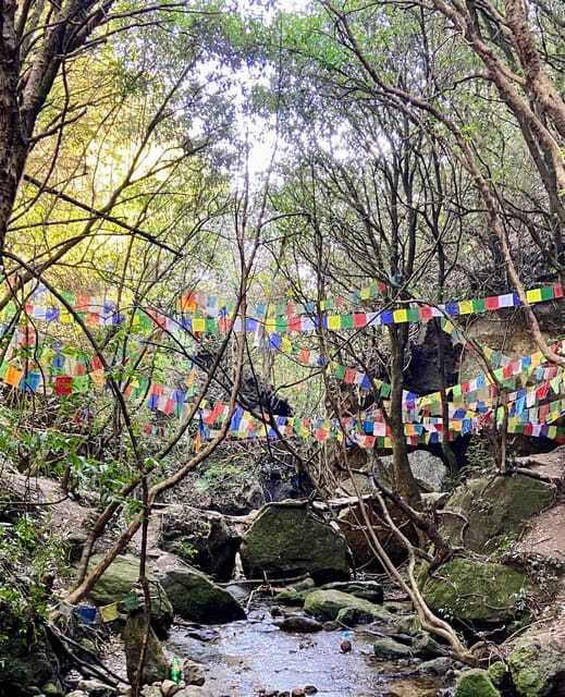 Kathmandu: Shivapuri Hill Day Hike with Lunch box - Reaching the top and judging the views