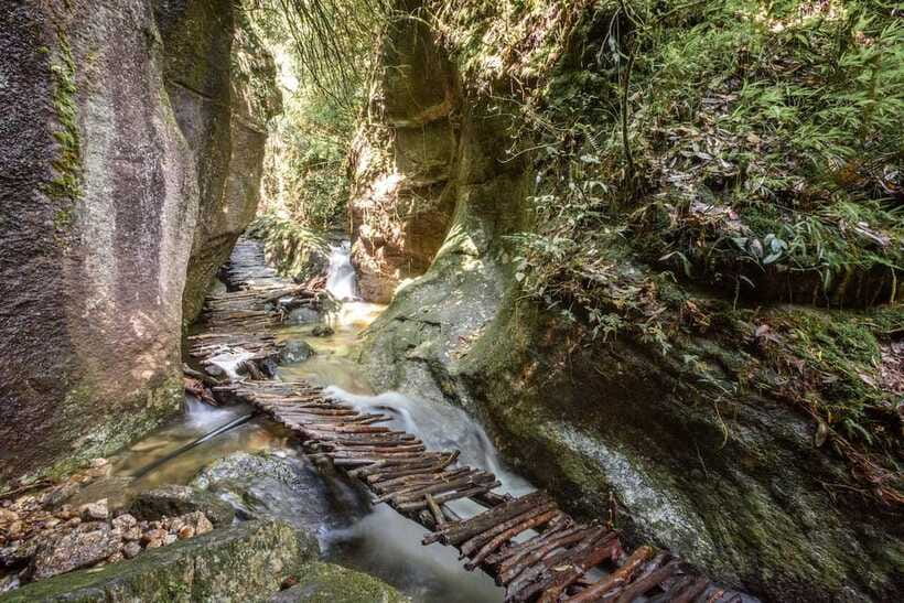Kathmandu: Shivapuri Hill Day Hike with Lunch box - Who should book this hike?