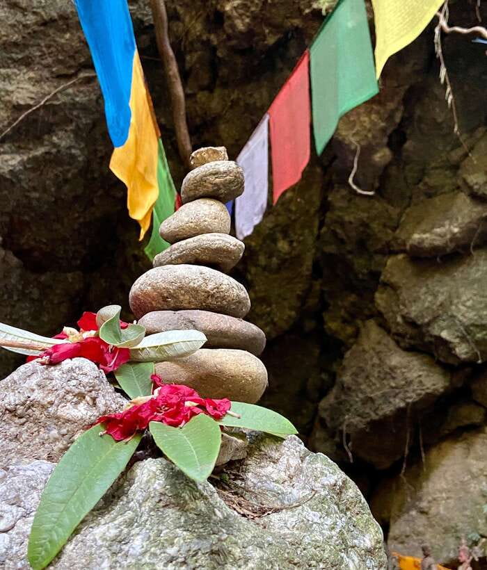 Kathmandu: Shivapuri Hill Day Hike with Lunch box - The trail: green forest and many steps