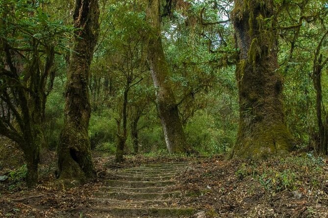 Kathmandu Shivapuri National Park and Nagarkot Hiking - 3 Days - Budhanilkantha gives the outing a cultural start