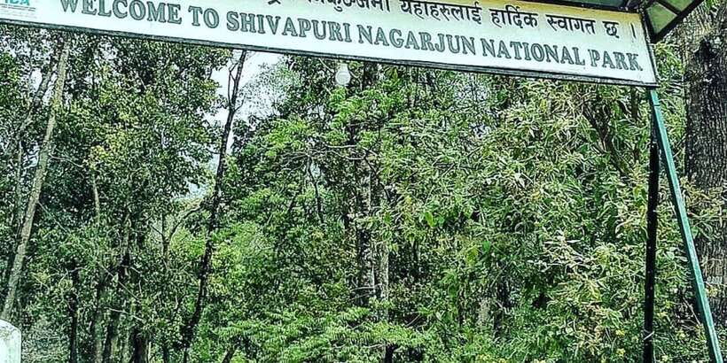 Kathmandu: Shivapuri National park Day Hiking - Forest sounds, birds, orchids, and spring color